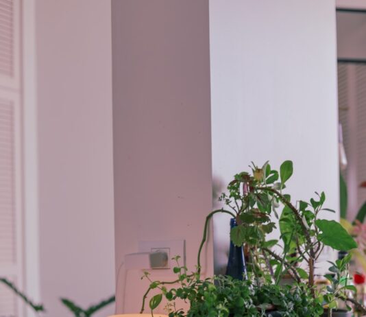 추운 계절, 실내 공기 질 관리의 중요성 green plant on blue ceramic pot